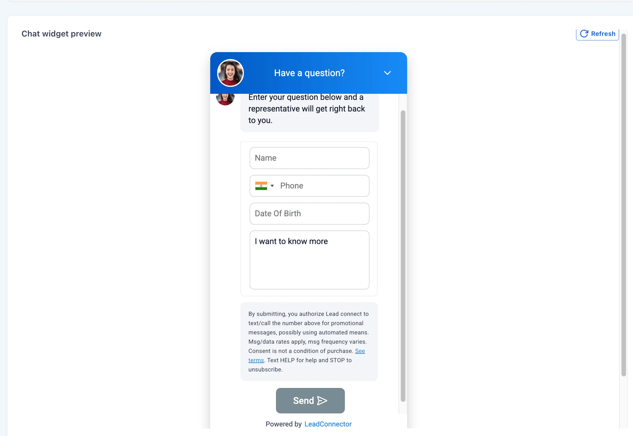Read-only widget preview