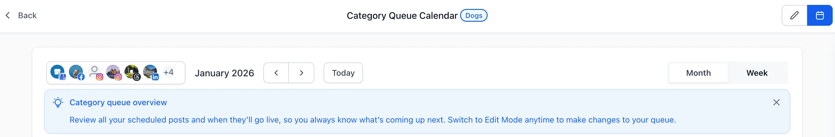 Social Planner Category Queue calendar view showing weekly posting schedule