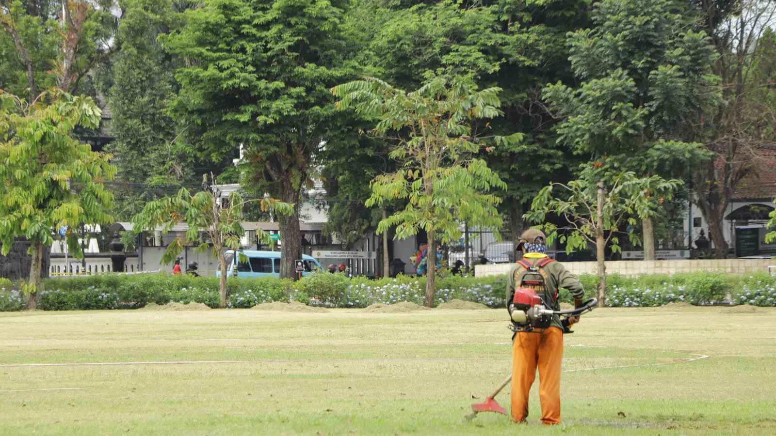 Landscaping worker mowing grass in a public park