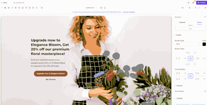 Border control in Page Builder